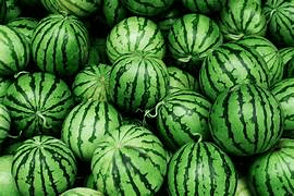 A Bunch Of Watermelons GIF - A Bunch Of Watermelons GIFs