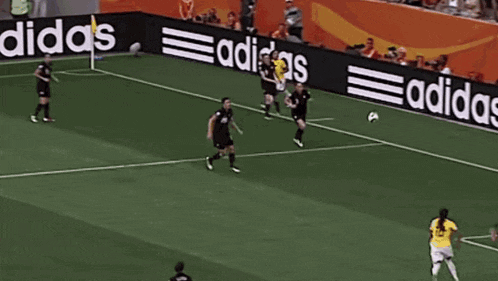 a soccer game is being played on a field with an adidas ad behind the goal