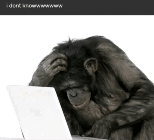 Funny Monkey Monkey I Dont Know Meme – Funny monkey Monkey i dont know ...