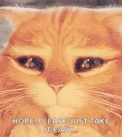 a close up of a cat 's face with its eyes closed and the words `` hope , please just take it easy '' .