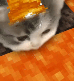 Minecraft Mc GIF - Minecraft Mc Cat GIFs