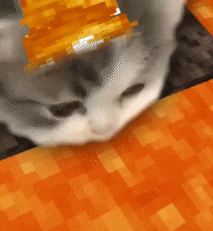 a cat with a beehive on its head is laying on an orange surface