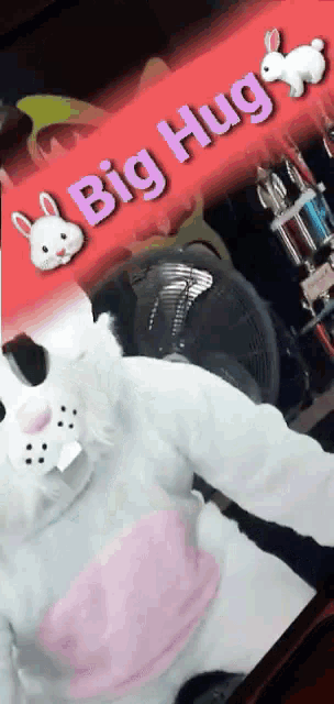 a person in a bunny costume with a big hug sign behind them