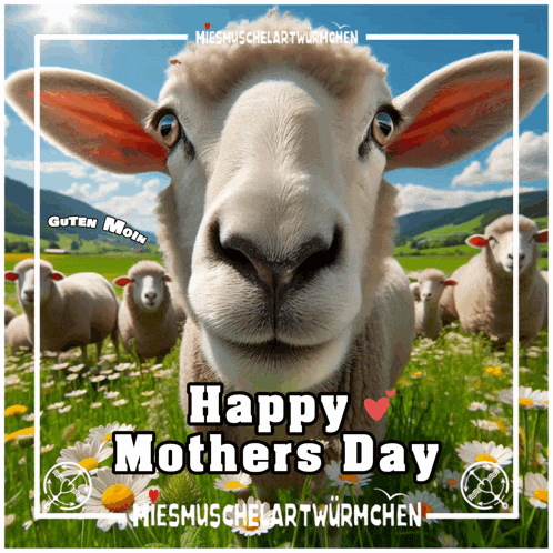 a picture of a sheep with the words happy mothers day