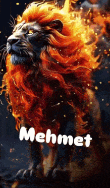 a painting of a lion with the name mehmet written on it