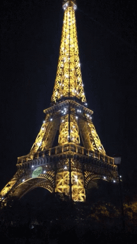Eiffel Tower Paris GIF - Eiffel Tower Paris France GIFs