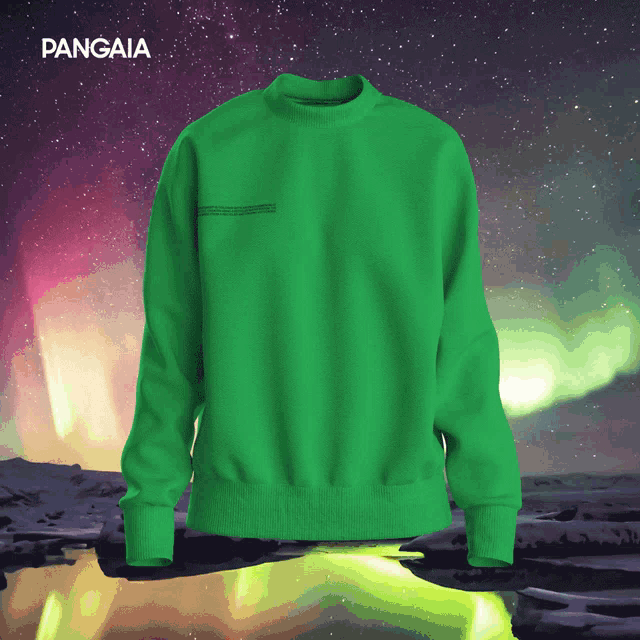 a green sweater with pangaia written on it