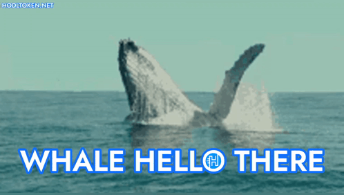Whale Hello There Hodl GIF - Whale Hello There Hodl GIFs