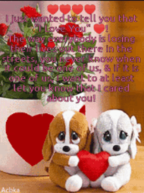 two stuffed dogs holding a red heart in front of a potted plant with roses