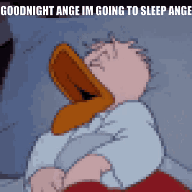 a pixelated image of a cartoon character with the words goodnight ange im going to sleep ange below it