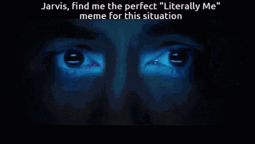 jarvis find me the perfect literally meme for this situation