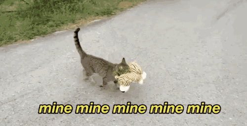a cat is walking down a road with the words mine mine mine mine mine