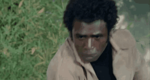 a man with a curly hair is standing in the grass and looking at the camera .