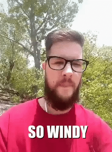 Windy Brice GIF - Windy Brice GIFs