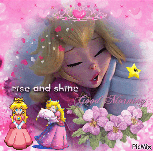 a picture of princess peach with the caption rise and shine