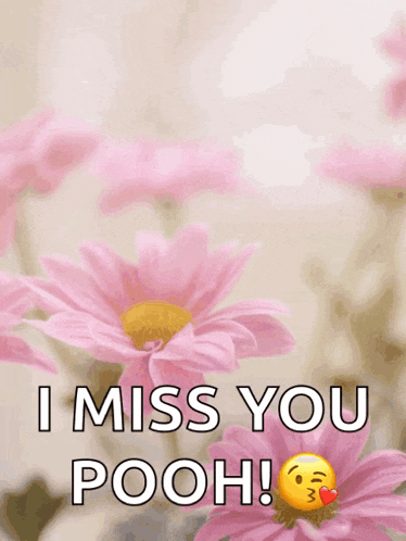 a mother 's day card that says i miss you pooh on it