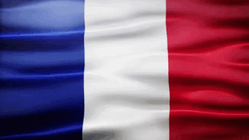 France Flag Gif GIF - France Flag Gif Europe GIFs