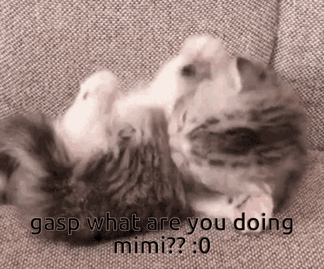 Mimi Miyo GIF - Mimi Miyo Xiyo GIFs