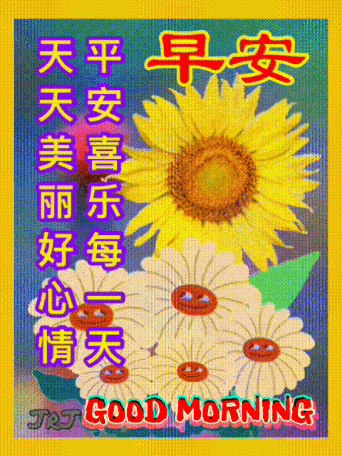 早安 早上好 GIF