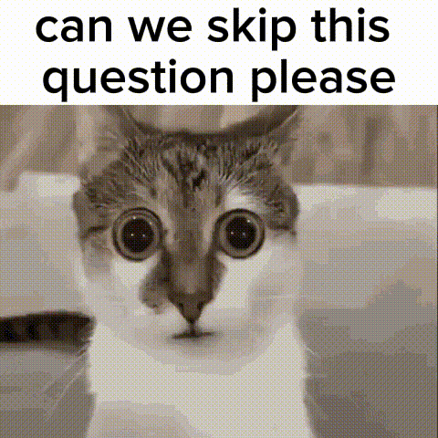 Mrnoob Can We Skip This Question Please GIF - Mrnoob Can We Skip This Question Please Canweskipthisquestionplease GIFs