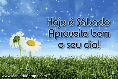 a greeting card that says hoje e sabado aprovete bem o seu dia