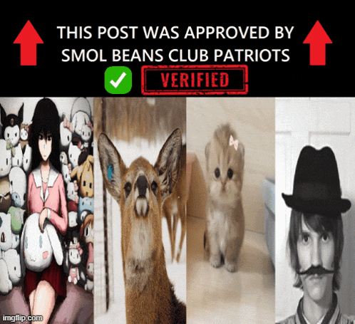 this post was approved by smol beans club patriots and verified