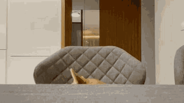 a dog is sitting on a chair in front of a table .