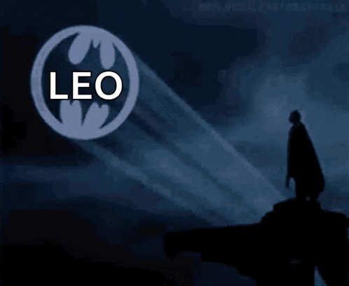 a silhouette of a man standing in front of a logo that says leo