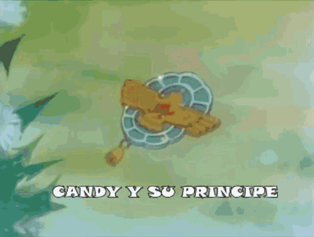 Candycandy Candyysuprincipe GIF - Candycandy Candyysuprincipe Anohito GIFs