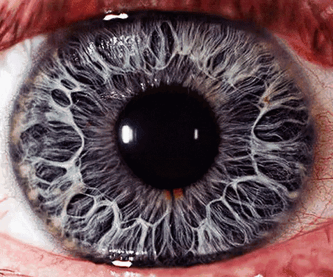 a close up of a person 's eye showing the iris and the pupil