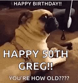 a pug dog is laying down on the floor with the words `` happy birthday ! ``