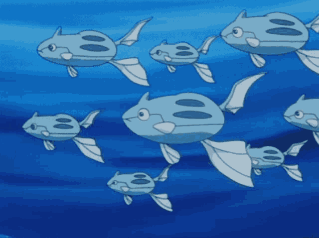 a group of fish are swimming in the ocean