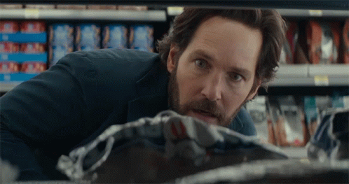 What Is This M Grooberson GIF - What Is This M Grooberson Paul Rudd GIFs