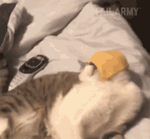 Lazy Tired GIF - Lazy Tired Hungry GIFs