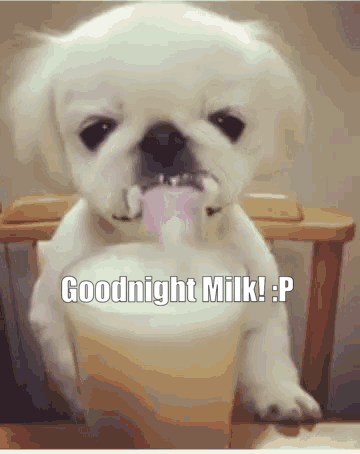 Good Night Milk GIF - Good Night Milk Tea GIFs
