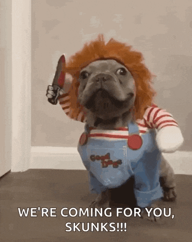 a dog in a chucky costume holding a knife