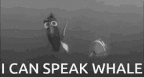 Black And White Finding Nemo GIF - Black And White Finding Nemo Finding Dory GIFs