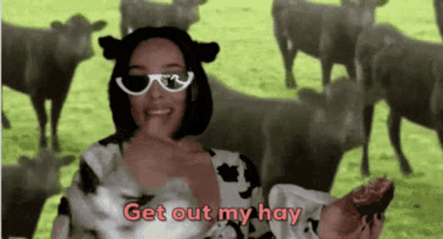 a woman wearing sunglasses and a cow costume says " get out my hay "