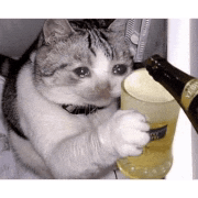 a cat is holding a glass of beer and a bottle of beer