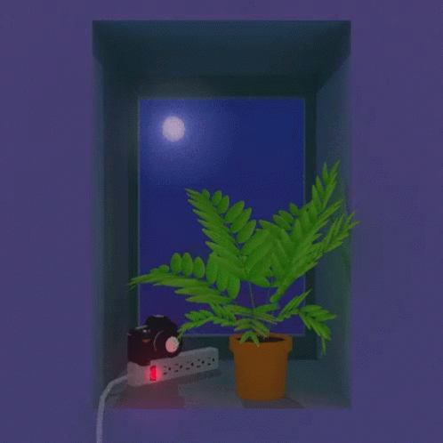 Window Moon GIF - Window Moon Night GIFs