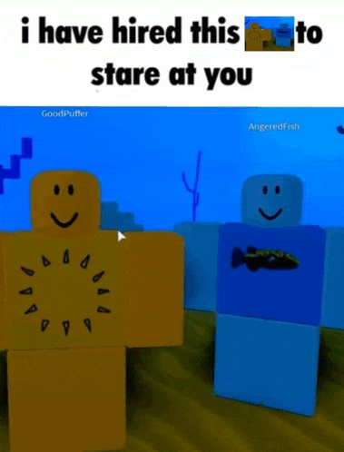 two roblox characters are standing next to each other with the caption i have hired this to stare at you .