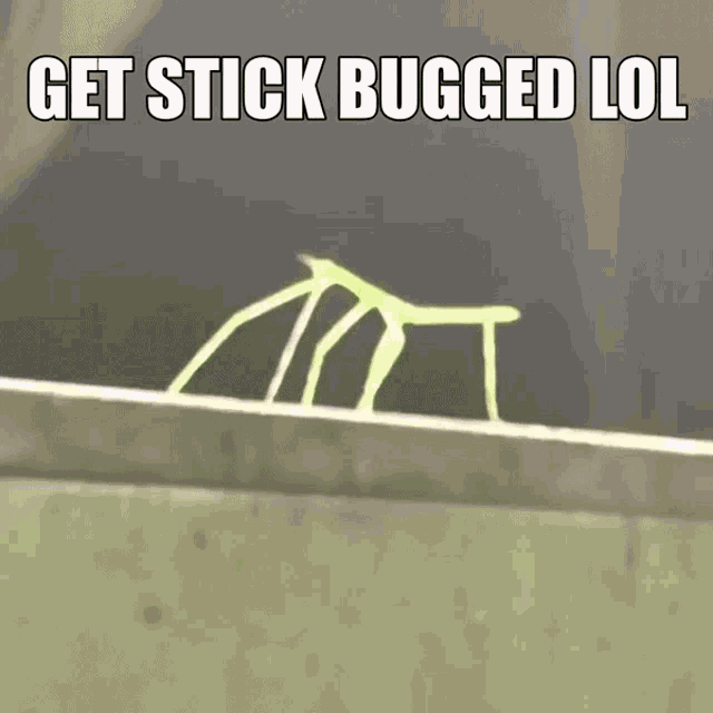 Get Stick Bugged Lol GIF - Get Stick Bugged Lol GIFs
