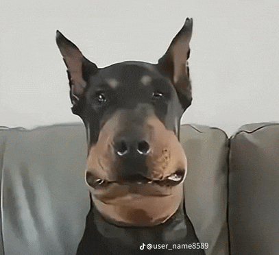 a dog with a big nose is sitting on a couch and looking at the camera .