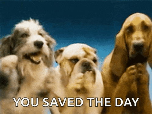 three dogs standing next to each other with the words " you saved the day " written below them