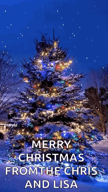 a picture of a christmas tree with the words merry christmas from the chris and lisa below it