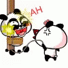 Panda Cartoon GIF - Panda Cartoon Animal GIFs
