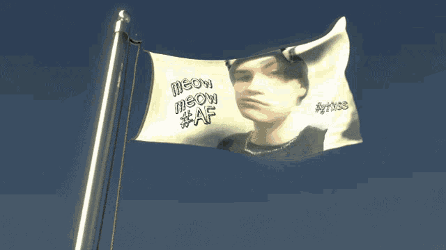a flag with a picture of a man and the words meow meow #af on it