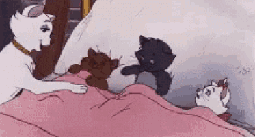 a group of cats are laying on a bed