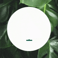 a white circle is surrounded by green leaves and a green arrow