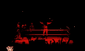 a wrestler stands in a ring with a crowd watching